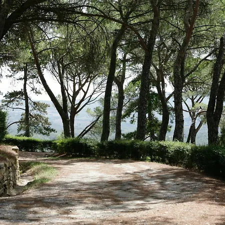 Historic In Medieval Town Near Orvieto *